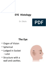 EYE Histology: Dr. Okolo