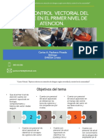 Tema: Control Vectorial Del Dengue en El Primer Nivel de Atencion