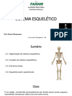 Aula 2 - Sistema Esquelético