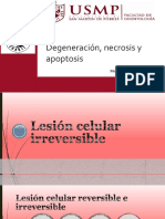 Degeneracion J Apoptosis y Necrosis