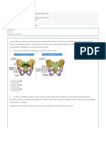 Guía de TP Virtual Nº9 - Pelvis y Periné - Revisión Del Intento