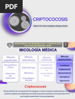 Criptococcus 2021