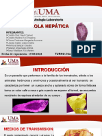 Fasciola Hepatica L-Labo.