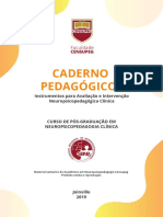 Caderno Pedagógico I: Instrumentos para Avaliação e Intervenção Neuropsicopedagógica Clínica