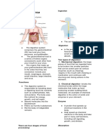 Digestive System