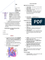 Circulatory System What Is A Circulatory System?: Heart