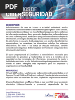 Programa Ciberseguridad