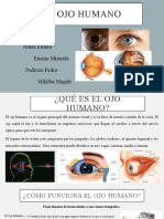 El Ojo Humano: Alumnos: Auras Emilia Encina Miranda Pedrozo Pedro Villalba Magalí