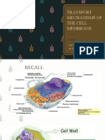 Transport Mechanisms of The Cell Membrane