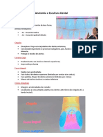 Anatomia e Escultura Dental - Resumo