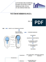 NEUROEMBRIOLOGIA 