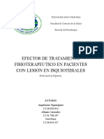 Efectos de Tratamiento Fisioterapeutico en Pacientes Con Lesión en Isquiotibiales