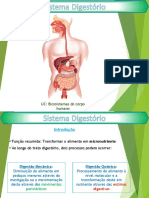 UC: Biossistemas Do Corpo Humano