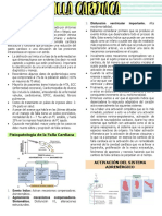 Definición: Disfunción Ventricular Importante