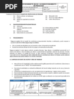 Procedimiento de 5S Y Acondicionamiento de Residuos: Equipo de Proteccion de Persona L