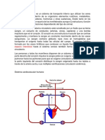 Sistema Circulatorio