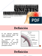 Meningitis: Internado Rotatorio: Medicina Interna Rebeca Alvarez