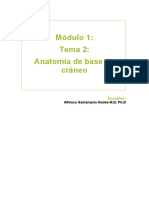 Módulo 1. Tema 2. Anatómia de La Base Del Cráneo. No Difundir