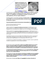 Homeostasis Es El Conjunto de Fenómenos de Autorregulación Que Llevan Al Mantenimiento de La Constancia en Las Propiedades y La Composición Del Medio Interno de Un Organismo