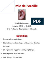 Anatomie de L'oreille