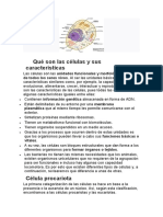 Qué Son Las Células y Sus Características: de Todos Los Seres Vivos. Al Ser Las Unidades Básicas, Tienen