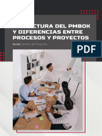 Estructura Del Pmbok Y Diferencias Entre Procesos Y Proyectos