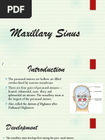 Maxillary Sinus