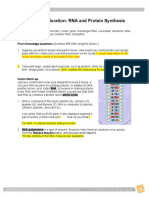 RNAProtein Synthesis SE