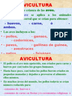 AVICULTURA