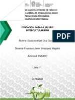 Ensayo Importancia de La Comunicación Intercultural