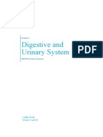 Module 5 - Digestive and Urinary System