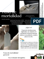 Tasas de Mortalidad