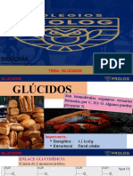 4º Glúcidos - Guillermo Campó