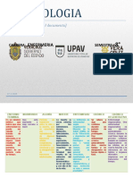 Cuadros Comparativos Tanatologia