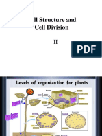 Cell Structure and Cell Division