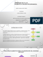 Diagrama de Flujo (Ingreso de Paciente A Cirugia Programada)