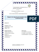 Rapport de Stage de Pré-Insertion Dans Le Milieu Professionnelle