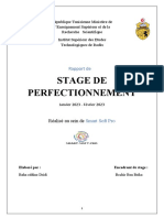 Rapport L2 (Version Final)