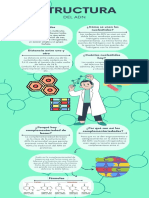 INFOGRAFÍA ESTRUCTURA DEL ADN-Laura G, David M y Marc