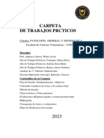 Carpeta de Trabajos Prácticos 2023