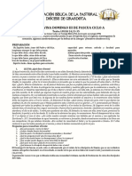 Lectio Divina Domingo Iii de Pascua Ciclo A: Animación Bíblica de La Pastoral Diócesis de Girardota