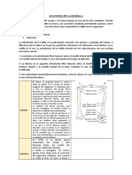 Anatomia de La Rodilla