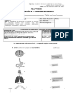 Prueba de Ciencias Unidad °1 - ADAPTACIÓN Ok