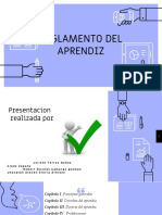 Reglamentos Del Aprendiz