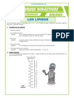 Los Lípidos para Cuarto de Secundaria