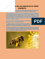 Importancia de Las Abejas en El Medio Ambiente