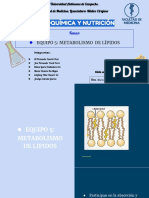 Bioquímica Y Nutrición: Equipo 5: Metabolismo de Lípidos