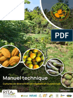 Manuel Technique: Cultures de Diversification Végétale en Guadeloupe