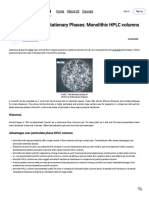 Advances in HPLC Stationary Phases in Monolithic HPLC Columns