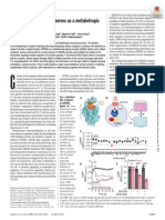 Orphan Receptor GPR158 Serves As A Metabotropic Glycine Receptor mGlyR